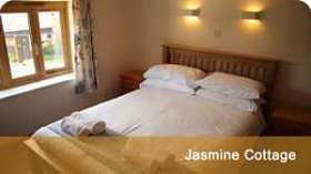 Jasmine Cottage fishing holidays in Dorset