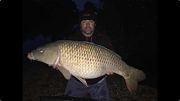 carp