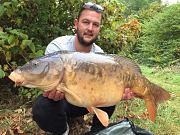 carpf from fishing lake at Combe Bank Fisheries