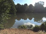Lake photo at Combe Bank Fisheries Kent