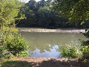 coarse fishing lake at Combe Bank Fisheries Kent