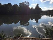 Combe Bank Fisheries Kent coarse fishing lake