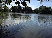 coarse fishing at Combe Bank Fisheries Kent