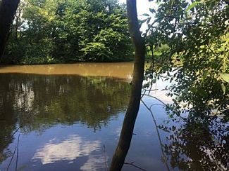 Greenacres Farm Fishery Lake