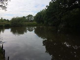 Greenacres Farm Fishery Lake