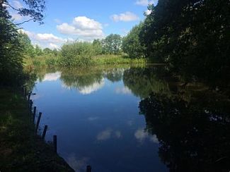 Greenacres Farm Fishery Lake