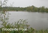 Top Barn Fishery Woodside Pool