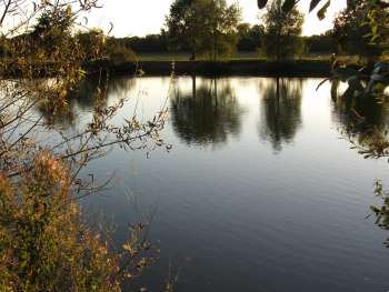 Top Barn Fishery lake Worcestershire