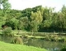 Meadow Lakes Fishing Isle of Wight