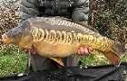 Carp caught at Derracot Reservoir Devon