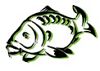 Milton Pools Fishery Oxfordshire