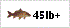 specimen carp fishing to 45lb