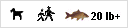 carp fishing holidays fish to 20lb