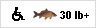 Disabled welcome fishing for Carp 30lb