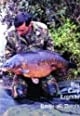 fishing book Big Carp Legends by Ritchie McDonald