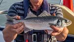 Coastal Bait and Tackle Cumbria
