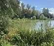 Ivy House Lakes day ticket fishing Grittenham Wiltshire